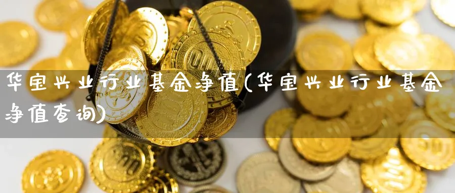 华宝兴业行业基金净值(华宝兴业行业基金净值查询)_https://www.lfyiying.com_港股_第1张