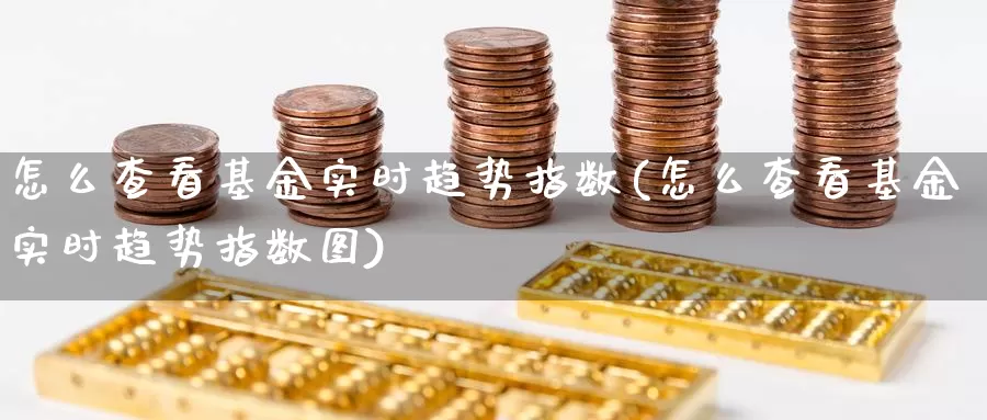 怎么查看基金实时趋势指数(怎么查看基金实时趋势指数图)_https://www.lfyiying.com_个股_第1张