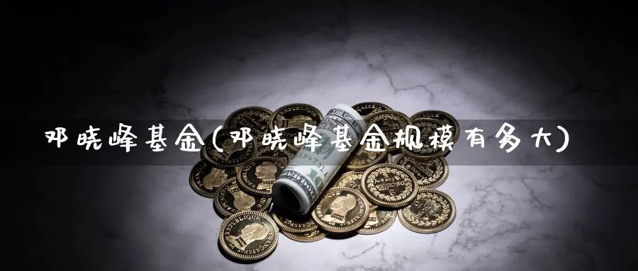 邓晓峰基金(邓晓峰基金规模有多大)_https://www.lfyiying.com_股票百科_第1张