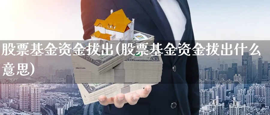 股票基金资金拔出(股票基金资金拔出什么意思)_https://www.lfyiying.com_股票分类_第1张