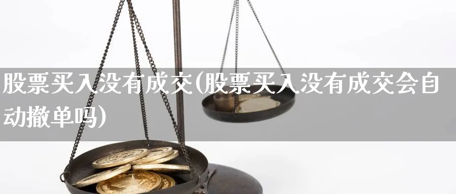 股票买入没有成交(股票买入没有成交会自动撤单吗)_https://www.lfyiying.com_股票分类_第1张