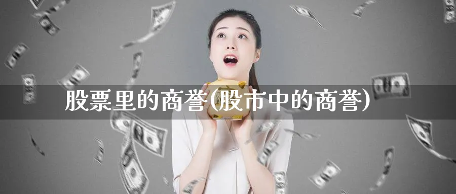 股票里的商誉(股市中的商誉)_https://www.lfyiying.com_股票分类_第1张