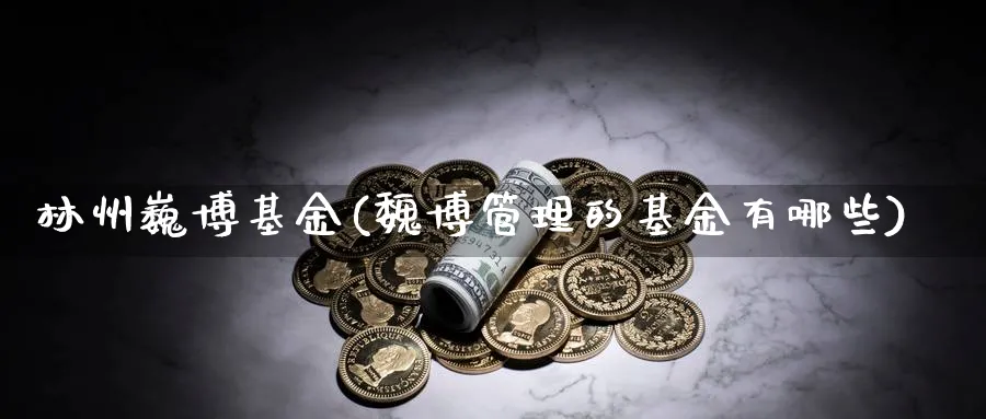 林州巍博基金(魏博管理的基金有哪些)_https://www.lfyiying.com_港股_第1张