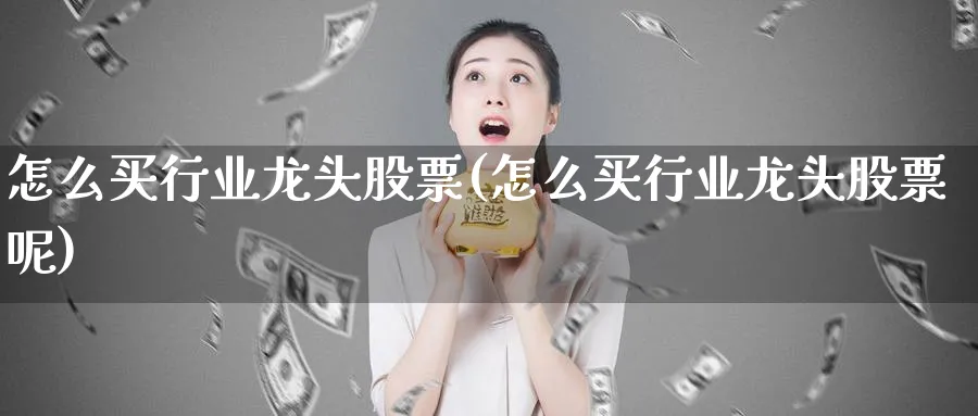 怎么买行业龙头股票(怎么买行业龙头股票呢)_https://www.lfyiying.com_个股_第1张