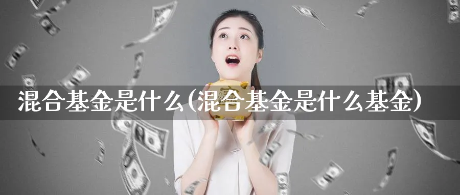 混合基金是什么(混合基金是什么基金)_https://www.lfyiying.com_港股_第1张