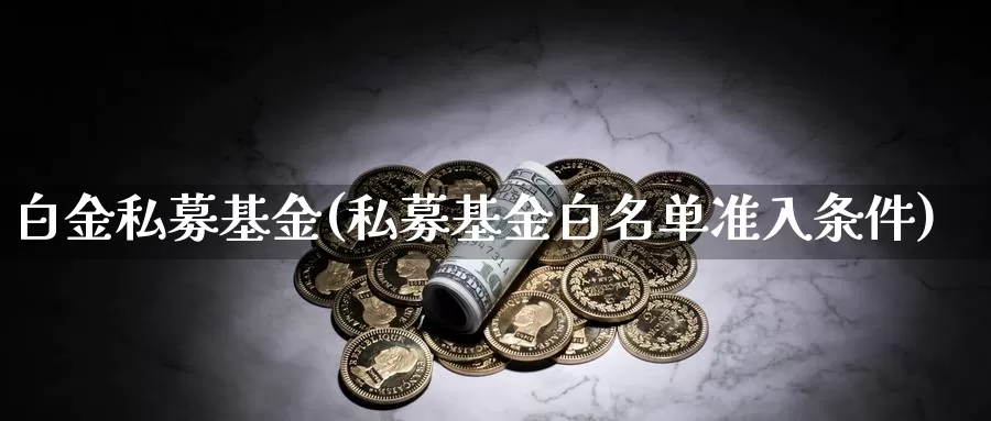 白金私募基金(私募基金白名单准入条件)_https://www.lfyiying.com_港股_第1张