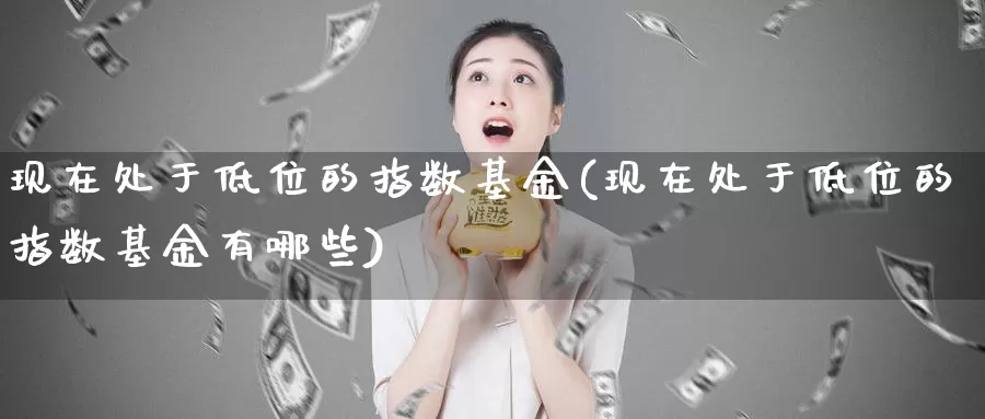 现在处于低位的指数基金(现在处于低位的指数基金有哪些)_https://www.lfyiying.com_美股_第1张