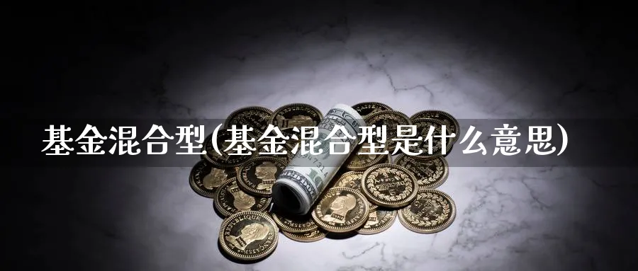 基金混合型(基金混合型是什么意思)_https://www.lfyiying.com_股吧_第1张