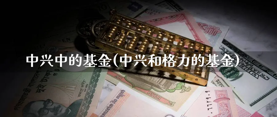 中兴中的基金(中兴和格力的基金)_https://www.lfyiying.com_股吧_第1张