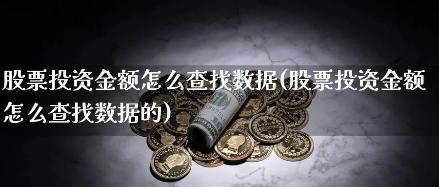 股票投资金额怎么查找数据(股票投资金额怎么查找数据的)_https://www.lfyiying.com_股吧_第1张