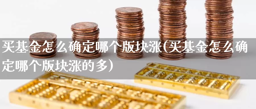 买基金怎么确定哪个版块涨(买基金怎么确定哪个版块涨的多)_https://www.lfyiying.com_港股_第1张