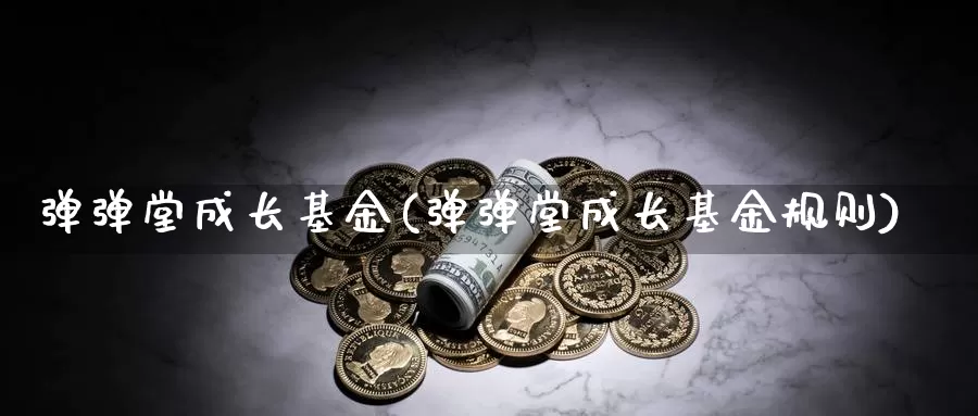 弹弹堂成长基金(弹弹堂成长基金规则)_https://www.lfyiying.com_股票分类_第1张