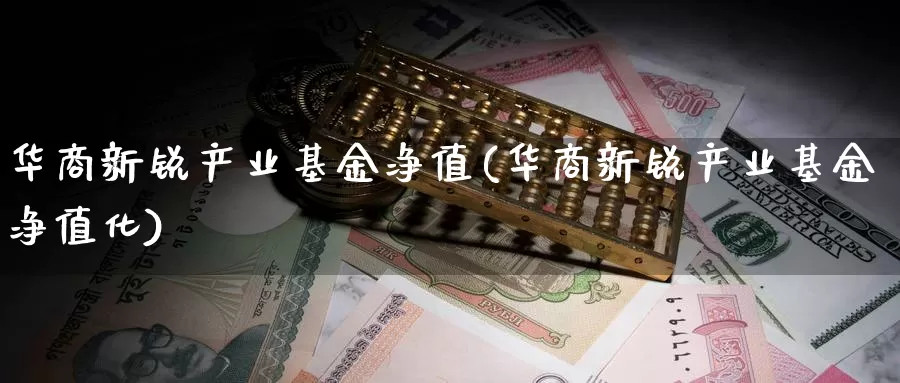 华商新锐产业基金净值(华商新锐产业基金净值化)_https://www.lfyiying.com_股吧_第1张