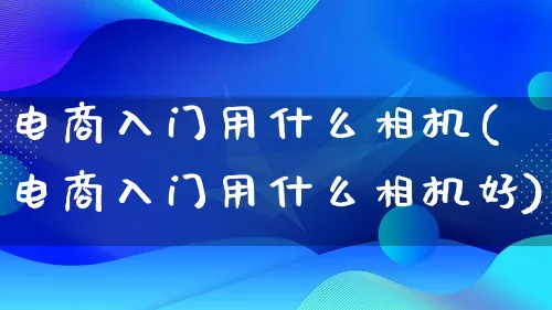 电商入门用什么相机(电商入门用什么相机好)_https://www.lfyiying.com_个股_第1张