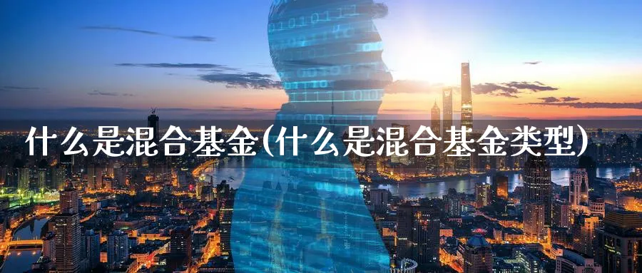 什么是混合基金(什么是混合基金类型)_https://www.lfyiying.com_股吧_第1张