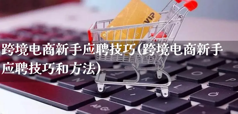 跨境电商新手应聘技巧(跨境电商新手应聘技巧和方法)_https://www.lfyiying.com_股票百科_第1张