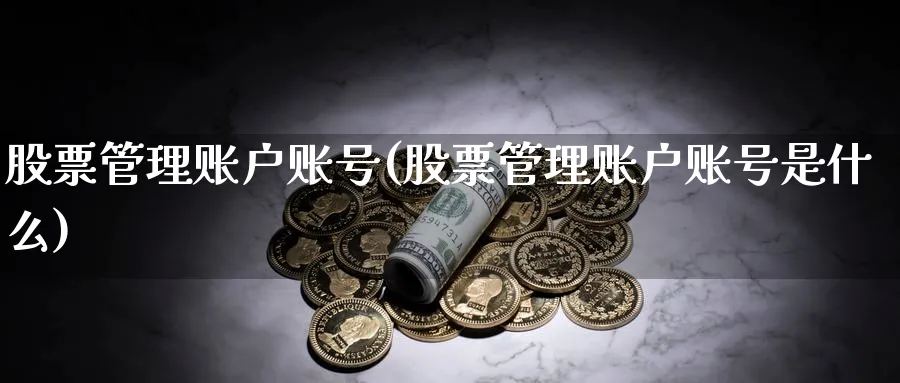 股票管理账户账号(股票管理账户账号是什么)_https://www.lfyiying.com_证券_第1张