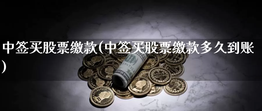 中签买股票缴款(中签买股票缴款多久到账)_https://www.lfyiying.com_股票分类_第1张