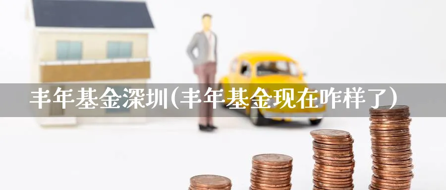 丰年基金深圳(丰年基金现在咋样了)_https://www.lfyiying.com_港股_第1张