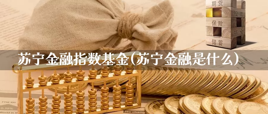 苏宁金融指数基金(苏宁金融是什么)_https://www.lfyiying.com_股票百科_第1张