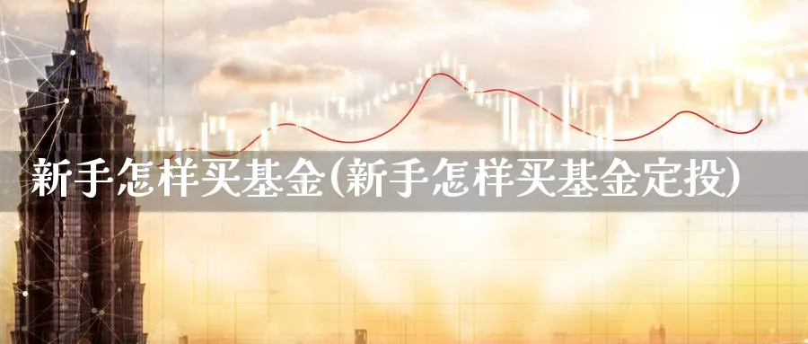 新手怎样买基金(新手怎样买基金定投)_https://www.lfyiying.com_股票分类_第1张