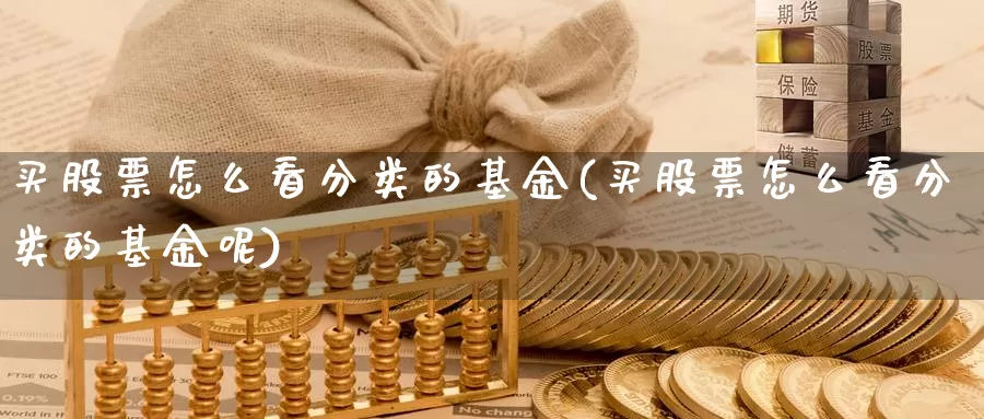 买股票怎么看分类的基金(买股票怎么看分类的基金呢)_https://www.lfyiying.com_股票百科_第1张