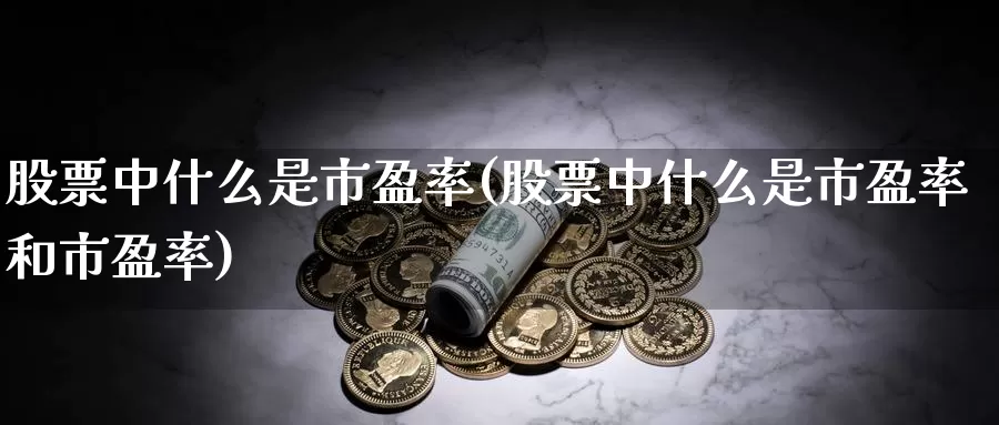 股票中什么是市盈率(股票中什么是市盈率和市盈率)_https://www.lfyiying.com_股票百科_第1张