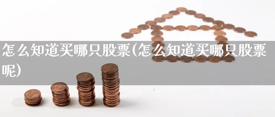 怎么知道买哪只股票(怎么知道买哪只股票呢)_https://www.lfyiying.com_证券_第1张