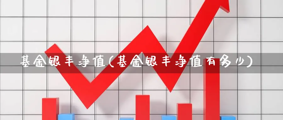 基金银丰净值(基金银丰净值有多少)_https://www.lfyiying.com_股票百科_第1张