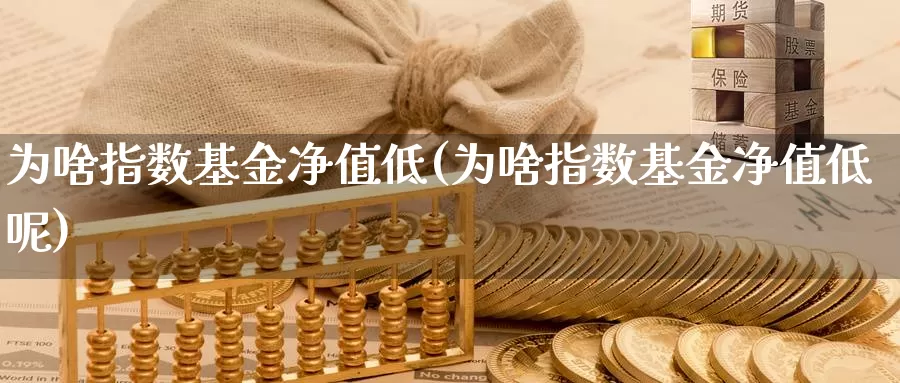 为啥指数基金净值低(为啥指数基金净值低呢)_https://www.lfyiying.com_股吧_第1张