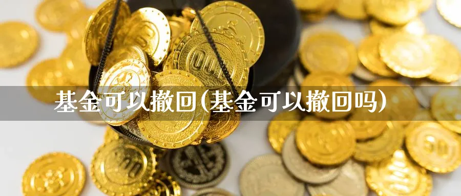 基金可以撤回(基金可以撤回吗)_https://www.lfyiying.com_港股_第1张