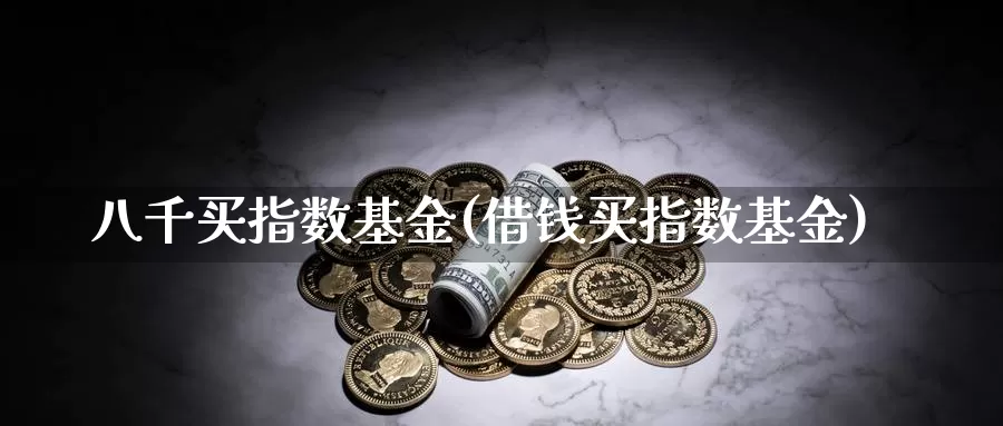 八千买指数基金(借钱买指数基金)_https://www.lfyiying.com_股吧_第1张