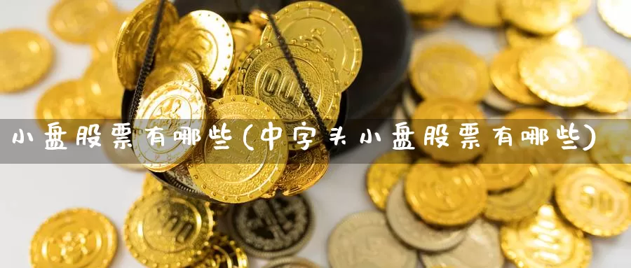 小盘股票有哪些(中字头小盘股票有哪些)_https://www.lfyiying.com_个股_第1张