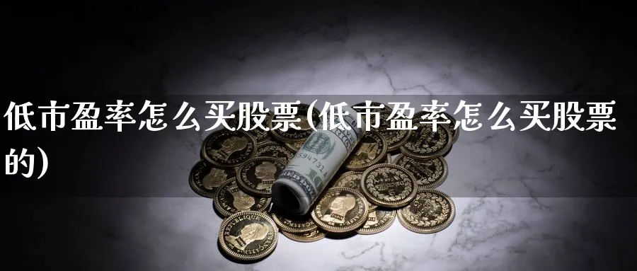 低市盈率怎么买股票(低市盈率怎么买股票的)_https://www.lfyiying.com_个股_第1张