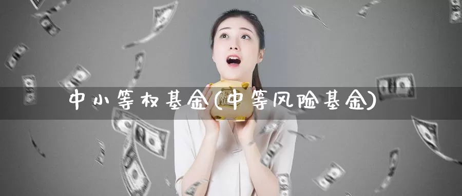 中小等权基金(中等风险基金)_https://www.lfyiying.com_股吧_第1张