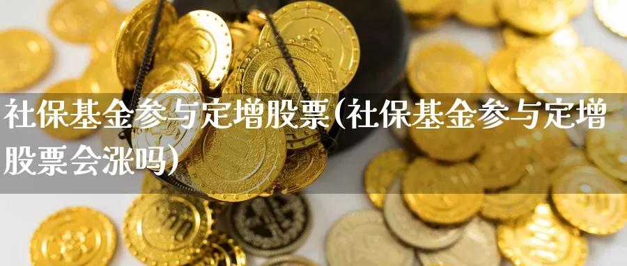 社保基金参与定增股票(社保基金参与定增股票会涨吗)_https://www.lfyiying.com_股票百科_第1张