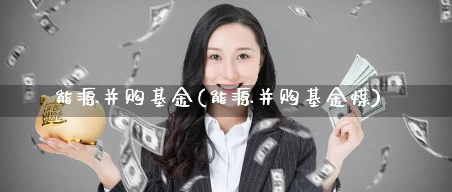 能源并购基金(能源并购基金煤)_https://www.lfyiying.com_股票百科_第1张