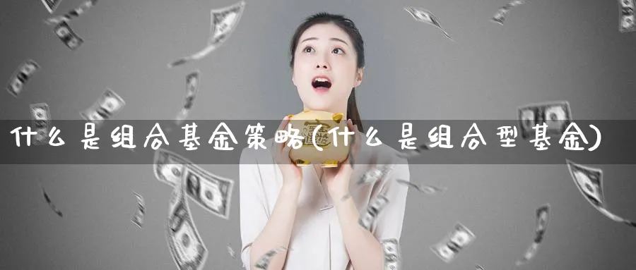 什么是组合基金策略(什么是组合型基金)_https://www.lfyiying.com_港股_第1张