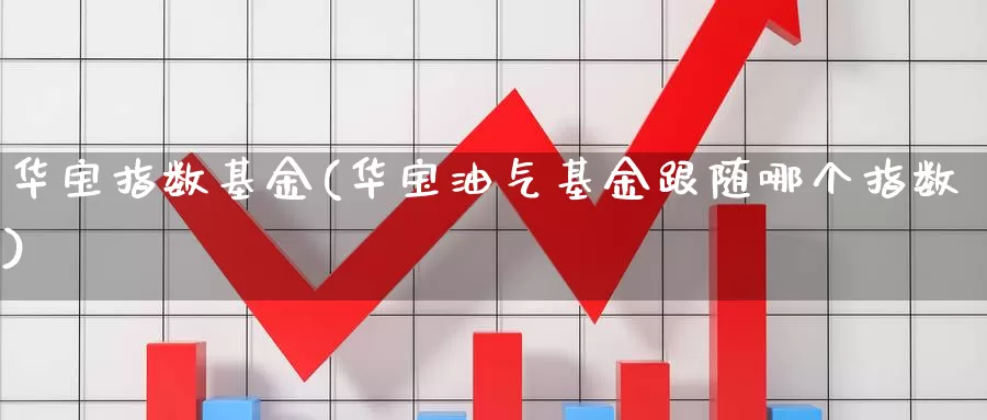 华宝指数基金(华宝油气基金跟随哪个指数)_https://www.lfyiying.com_港股_第1张