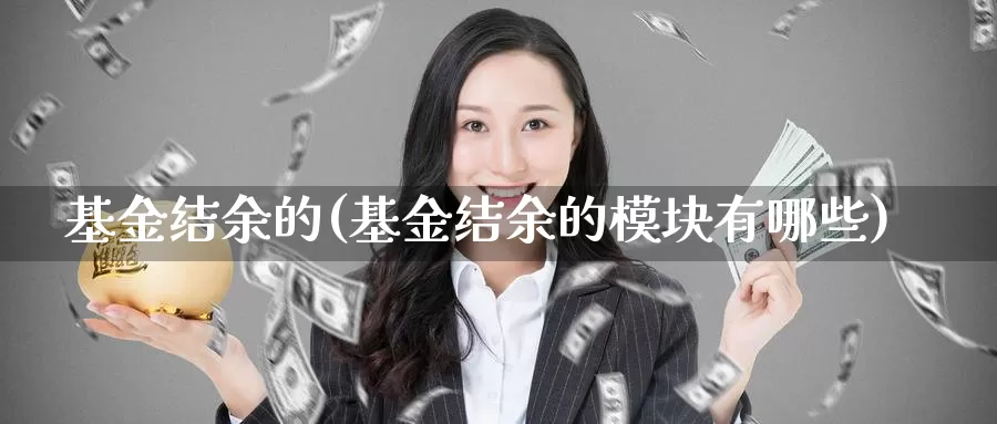 基金结余的(基金结余的模块有哪些)_https://www.lfyiying.com_港股_第1张