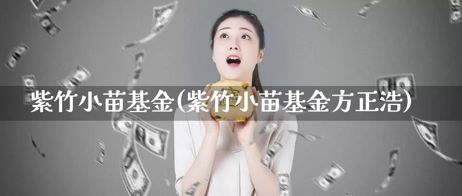 紫竹小苗基金(紫竹小苗基金方正浩)_https://www.lfyiying.com_股票分类_第1张