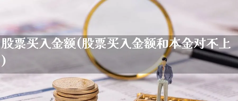 股票买入金额(股票买入金额和本金对不上)_https://www.lfyiying.com_股票分类_第1张