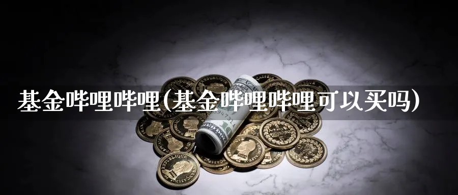 基金哔哩哔哩(基金哔哩哔哩可以买吗)_https://www.lfyiying.com_股吧_第1张