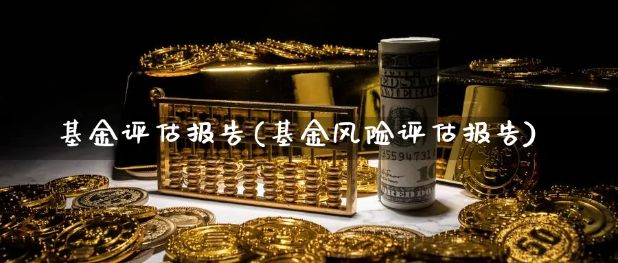 基金评估报告(基金风险评估报告)_https://www.lfyiying.com_港股_第1张