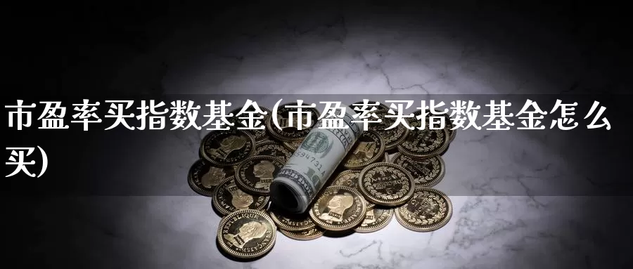 市盈率买指数基金(市盈率买指数基金怎么买)_https://www.lfyiying.com_美股_第1张