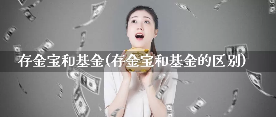 存金宝和基金(存金宝和基金的区别)_https://www.lfyiying.com_个股_第1张