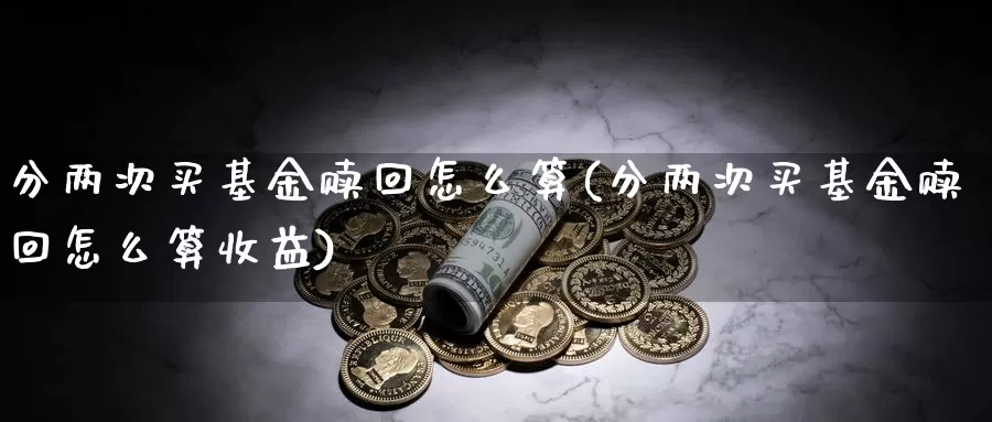 分两次买基金赎回怎么算(分两次买基金赎回怎么算收益)_https://www.lfyiying.com_股吧_第1张