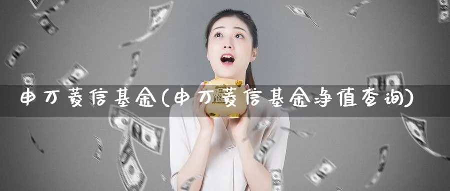 申万菱信基金(申万菱信基金净值查询)_https://www.lfyiying.com_证券_第1张