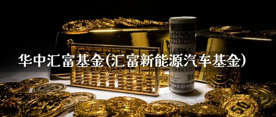 华中汇富基金(汇富新能源汽车基金)_https://www.lfyiying.com_港股_第1张