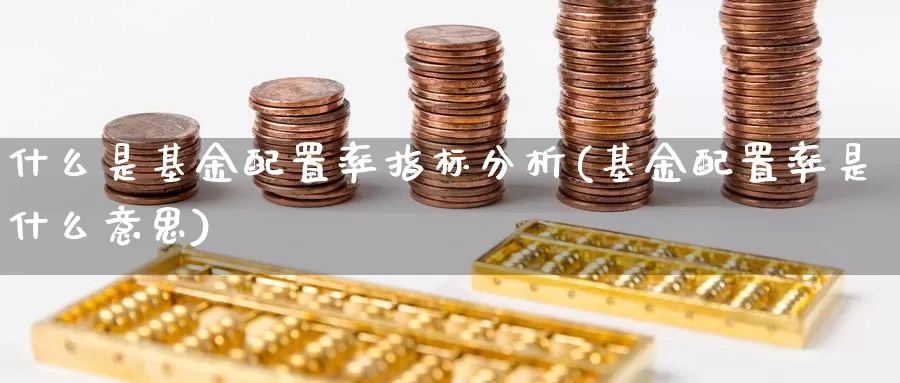 什么是基金配置率指标分析(基金配置率是什么意思)_https://www.lfyiying.com_证券_第1张